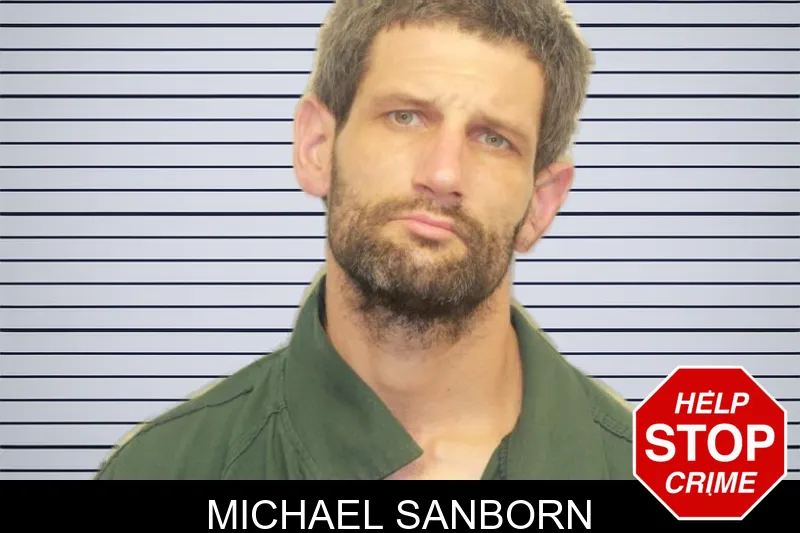Michael Sanborn mugshot – Chatham County , Georgia Michael Sanborn mugshot
