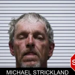 Michael Strickland mugshot