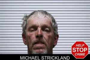 Michael Strickland mugshot