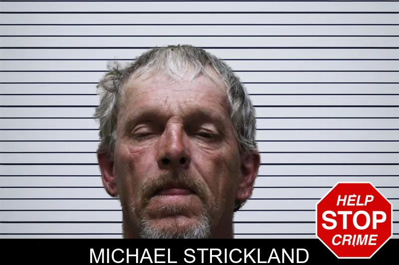 Michael Strickland mugshot