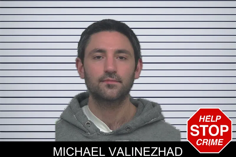 Michael Valinezhad mugshot