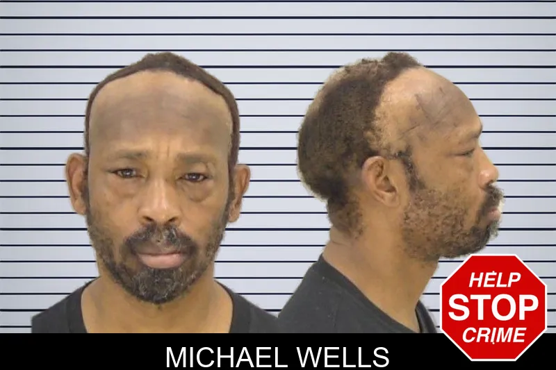 Michael Wells mugshot