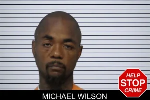 Michael Wilson mugshot