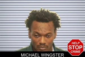 Michael Wingster mugshot