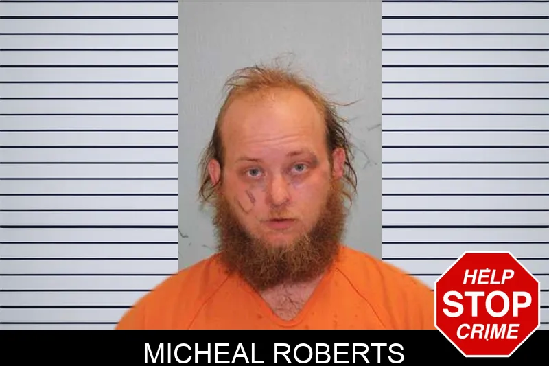 Micheal Roberts mugshot – Grady County , Georgia Micheal Roberts mugshot