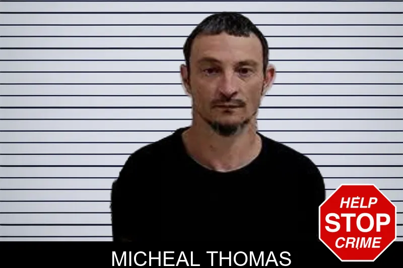 Micheal Thomas mugshot