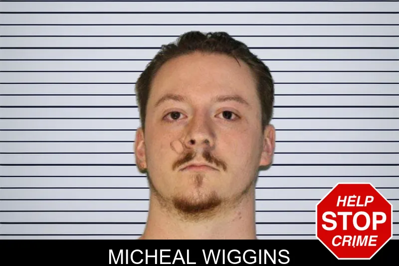 Micheal Wiggins mugshot