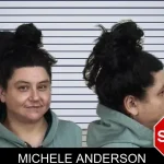 Michele Anderson mugshot