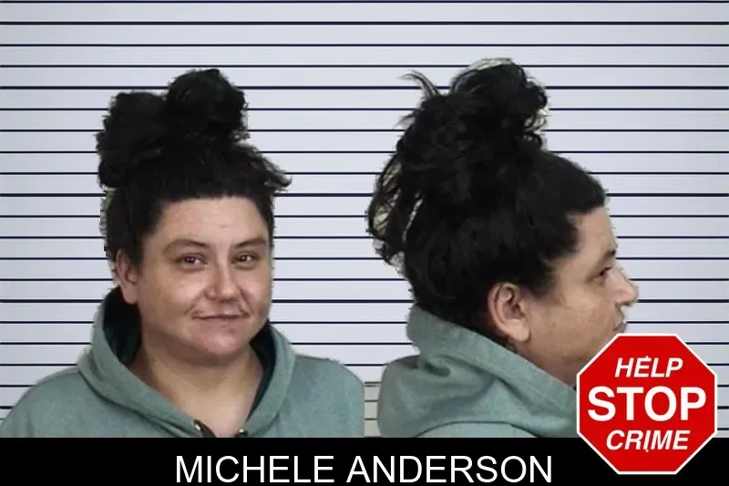 Michele Anderson mugshot