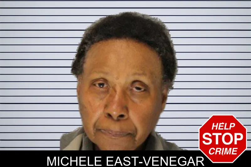 Michele East-Venegar mugshot