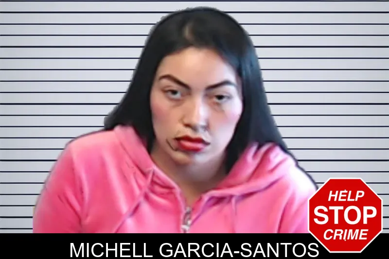 Michell Garcia-Santos mugshot