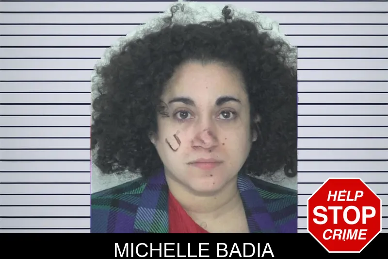 Michelle Badia mugshot – Fayette County , Georgia Michelle Badia mugshot