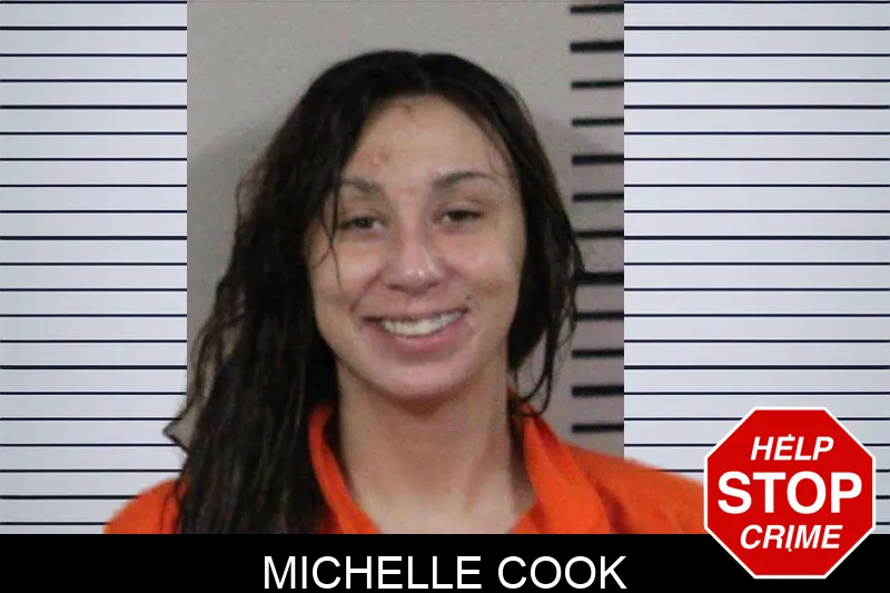 Michelle Cook mugshot