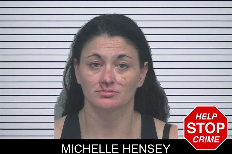 Michelle Hensey mugshot – Gwinnett County , Georgia Michelle Hensey mugshot