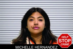 Michelle Hernandez mugshot