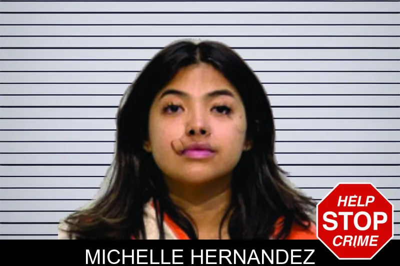 Michelle Hernandez mugshot