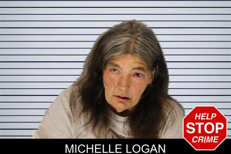 Michelle Logan mugshot – Hall County , Georgia Michelle Logan