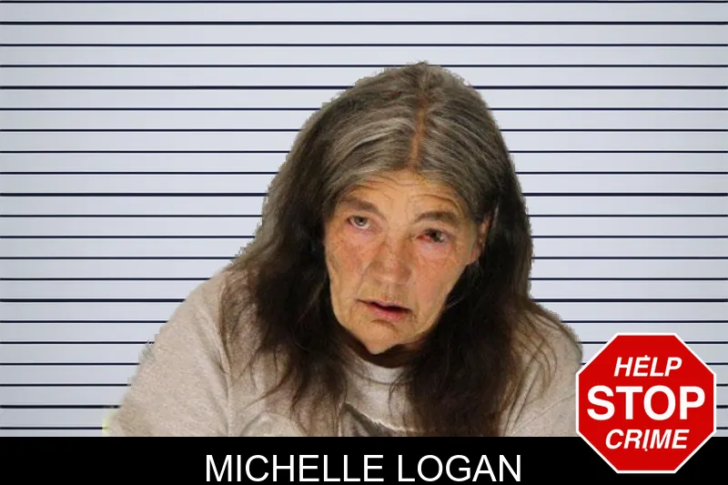 Michelle Logan mugshot