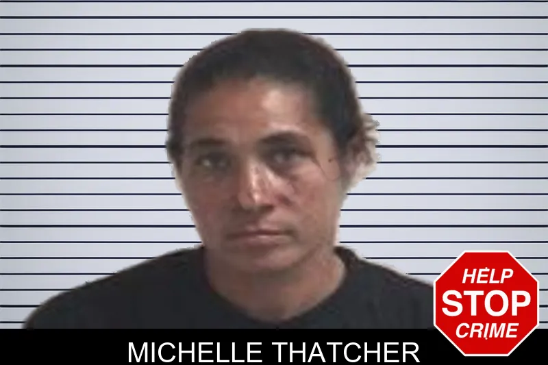 Michelle Thatcher mugshot