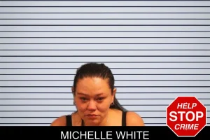 Michelle White mugshot