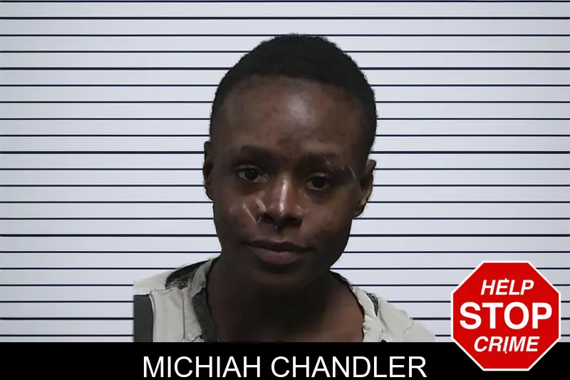 Michiah Chandler mugshot
