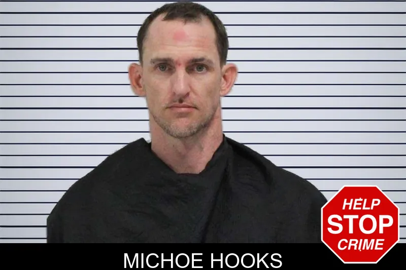 Michoe Hooks mugshot