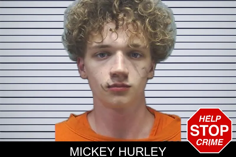 Mickey Hurley mugshot