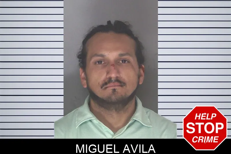 Miguel Avila mugshot