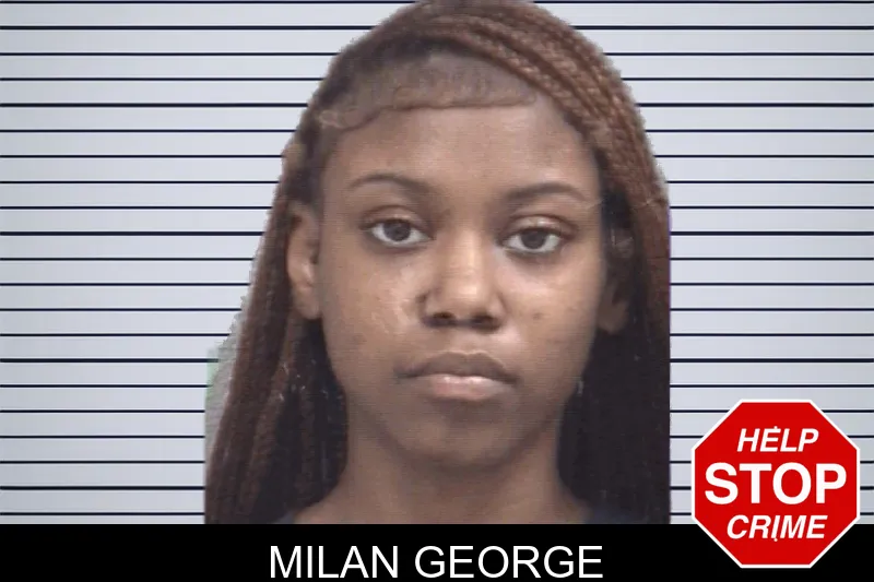 Milan George mugshot