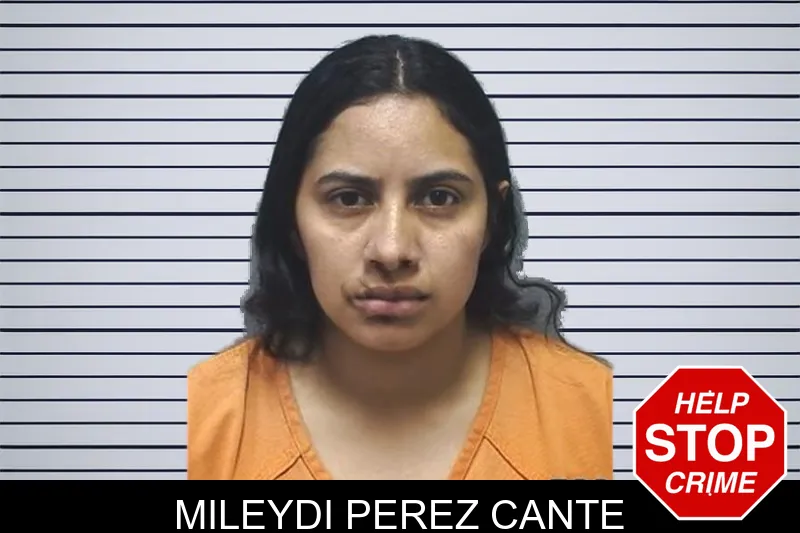 Mileydi Perez Cante mugshot