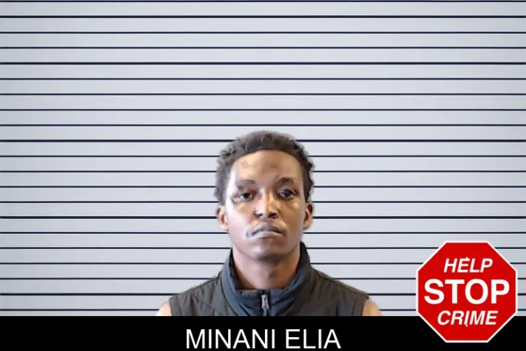 Minani Elia