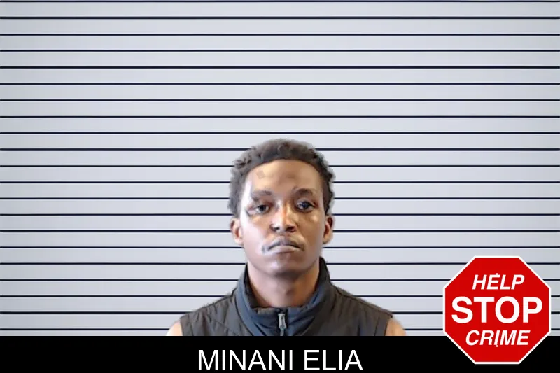 Minani Elia mugshot
