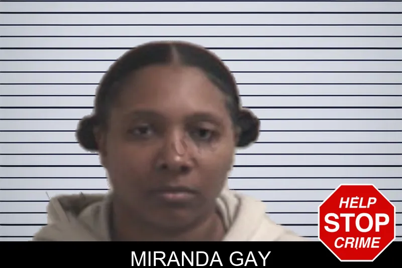 Miranda Gay mugshot