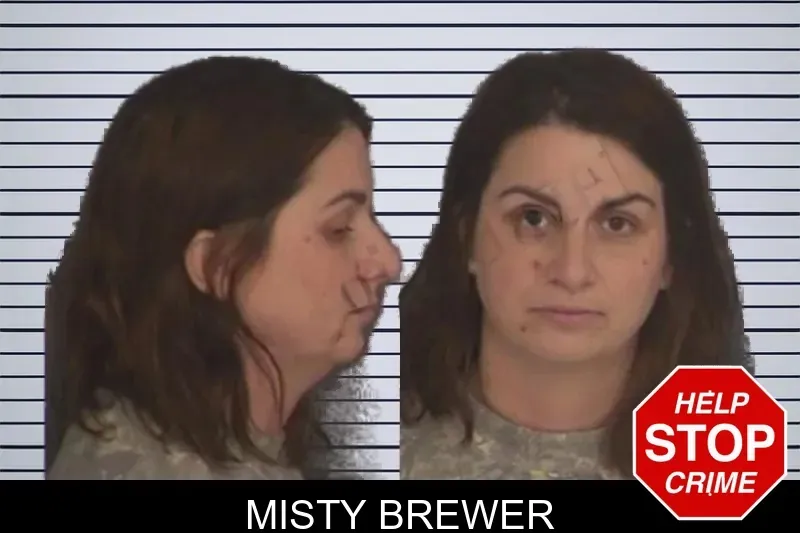 Misty Brewer mugshot