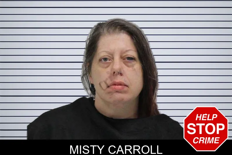 Misty Carroll mugshot