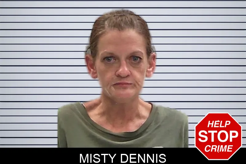 Misty Dennis mugshot – Baldwin County , Georgia Misty Dennis mugshot