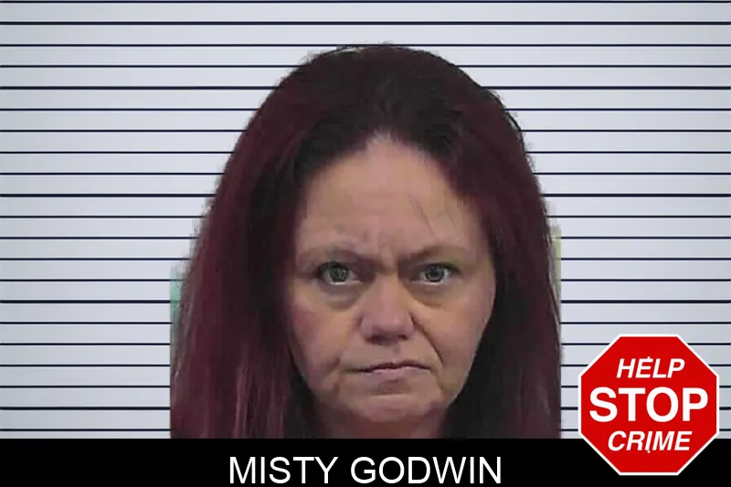 Misty Godwin mugshot – Butts County , Georgia Misty Godwin mugshot