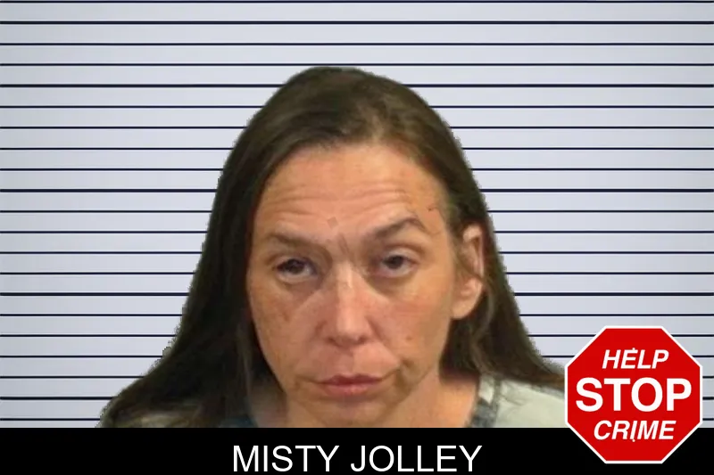 Misty Jolley mugshot