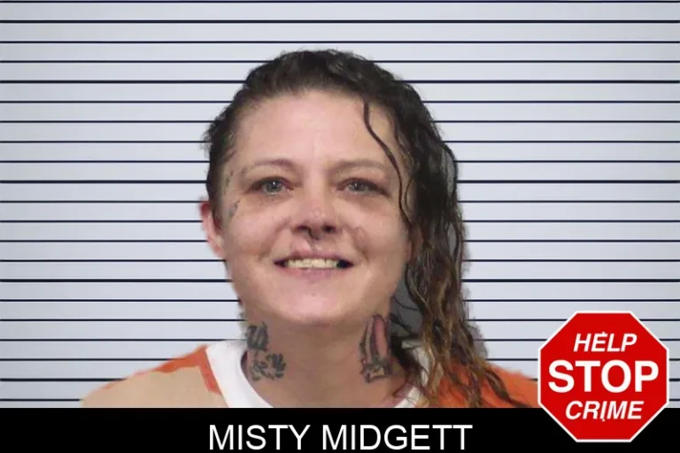 Misty Midgett mugshot – White County , Georgia Misty Midgett