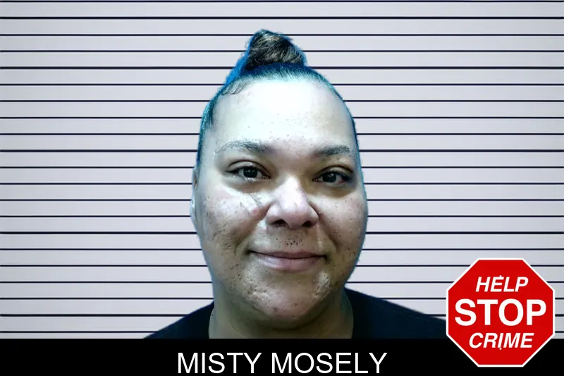 Misty Mosely mugshot