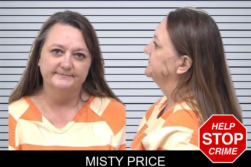 Misty Price mugshot