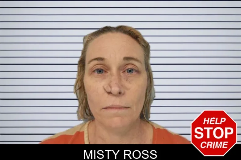 Misty Ross mugshot – Gordon County , Georgia Misty Ross