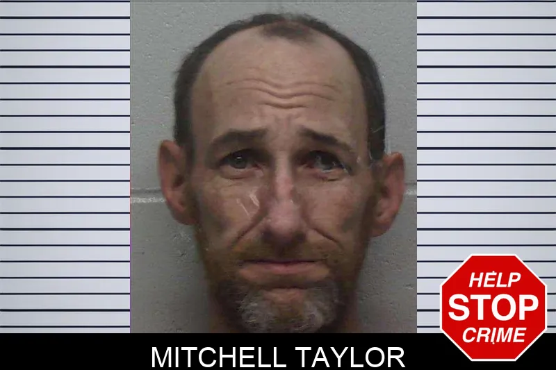 Mitchell Taylor mugshot