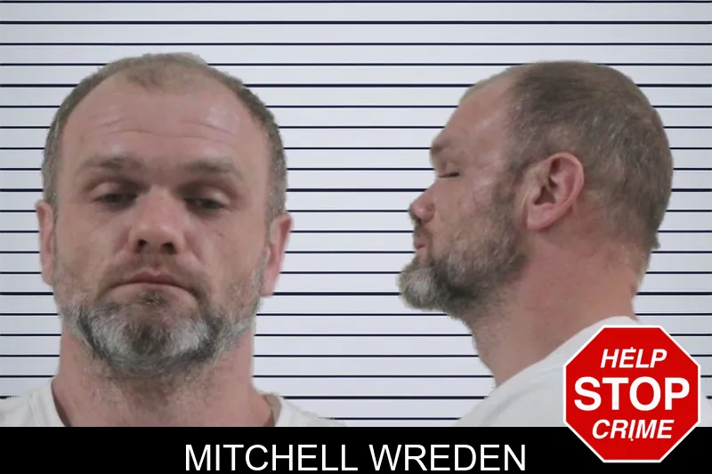 Mitchell Wreden mugshot