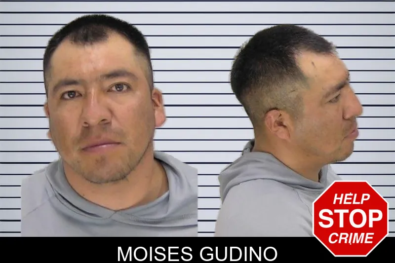 Moises Gudino mugshot