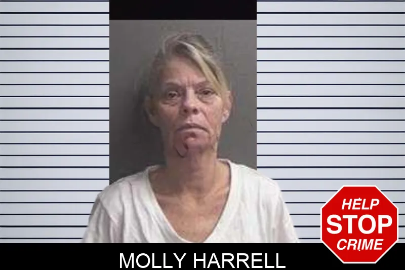 Molly Harrell mugshot