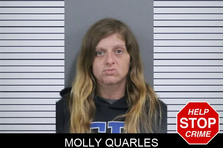 Molly Quarles