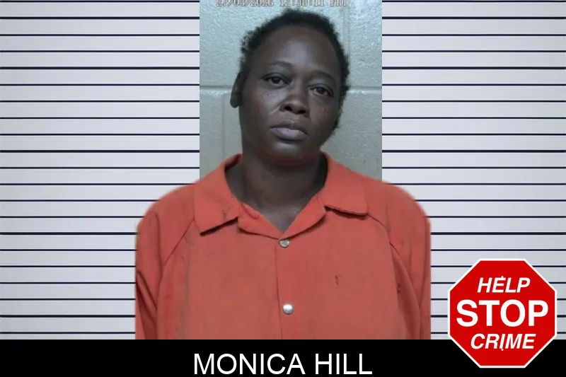 Monica Hill mugshot