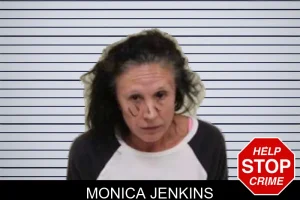 Monica Jenkins mugshot