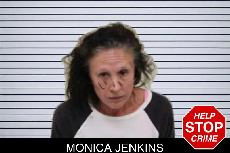 Monica Jenkins mugshot